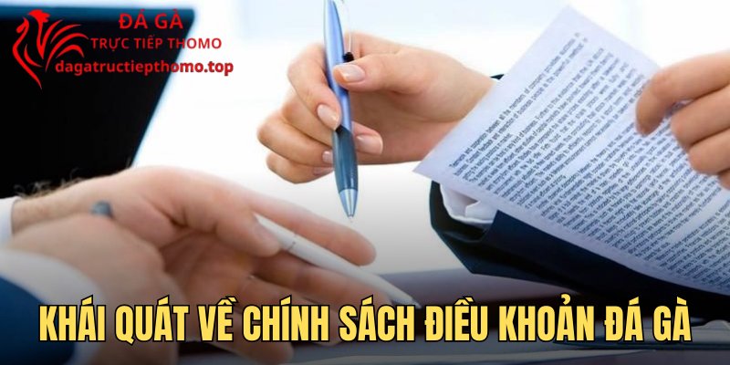 Khái quát về chính sách điều khoản đá gà online